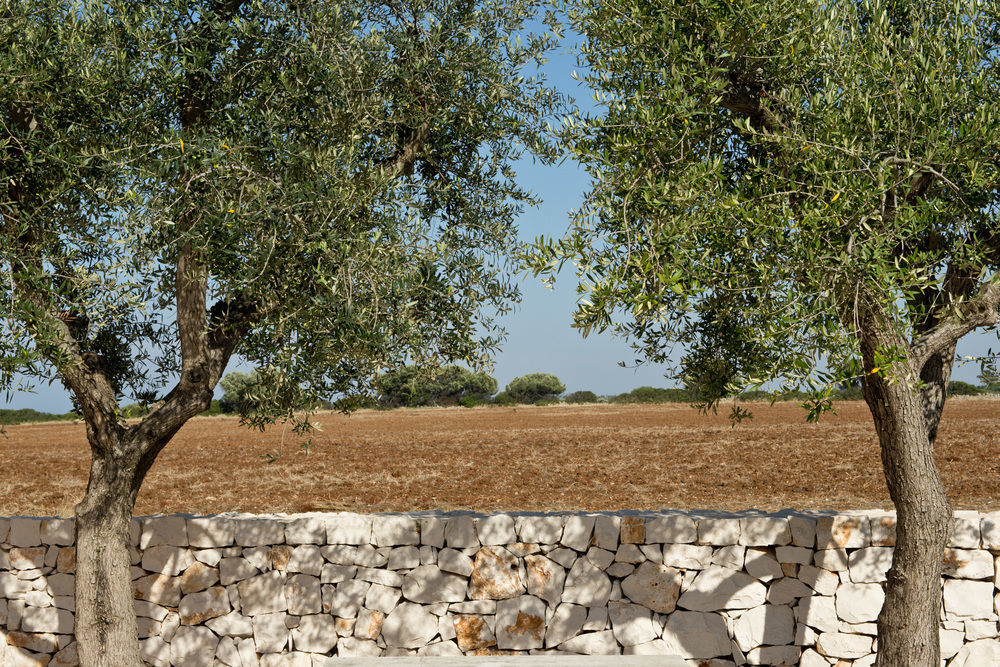 Grand Hotel Masseria Santa Lucia Ostuni Dış mekan fotoğraf